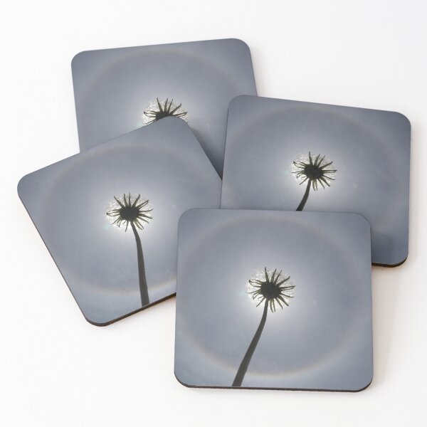 Item preview, Dandelion Eclipse designed and sold by Solas Photo Co..