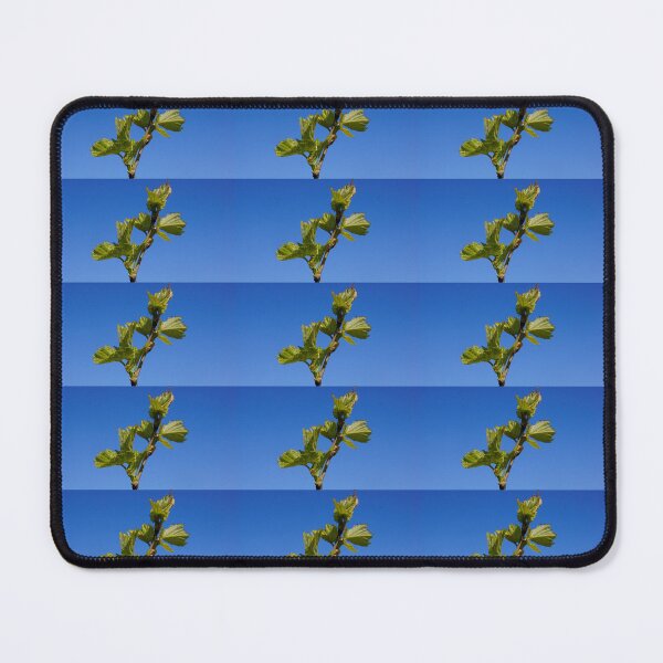 Item preview, Budburst Against Blue Sky - Magpie Springs designed and sold by MagpieSprings.