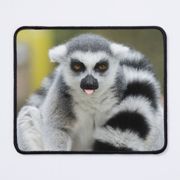 Item preview, Lemur Full of Personality designed and sold by rawshutterbug.