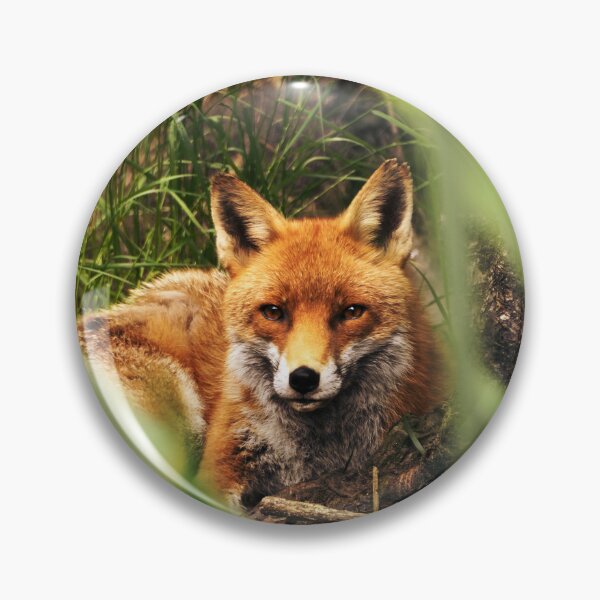 Item preview, Madra Rua designed and sold by Solas Photo Co..