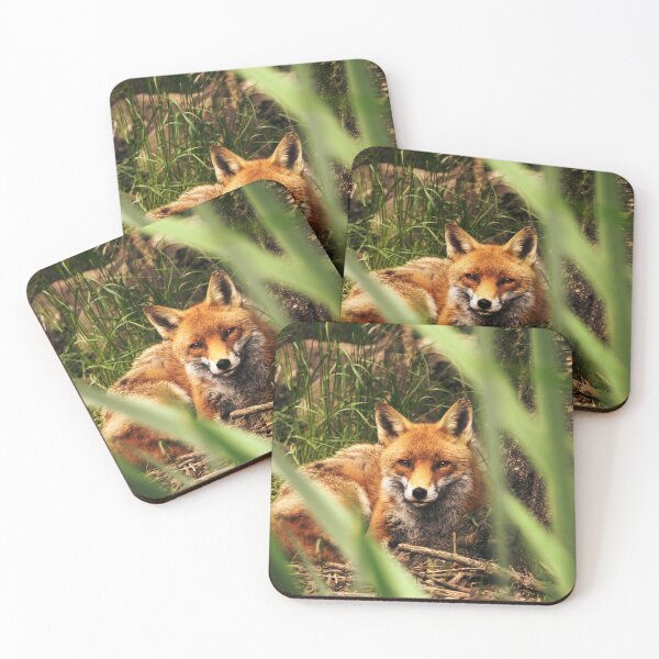 Item preview, Madra Rua designed and sold by Solas Photo Co..