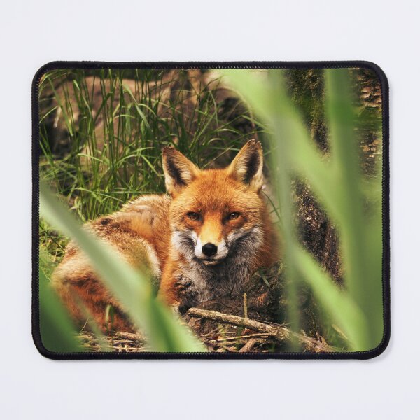 Item preview, Madra Rua designed and sold by Solas Photo Co..