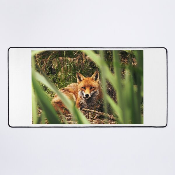 Item preview, Madra Rua designed and sold by Solas Photo Co..