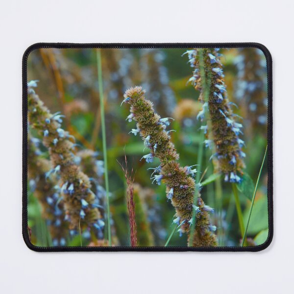 Item preview, Anise Hyssop designed and sold by duderichy.