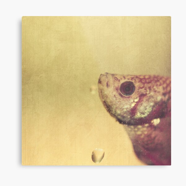 fish can be sad too Metal Print