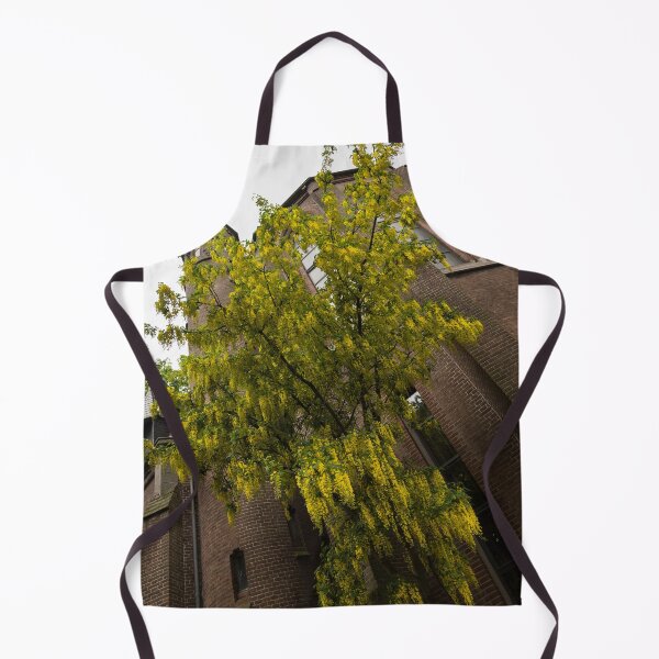 Item preview, Beautiful Golden Chain Tree Blooming in Front of Vondelkerk Amsterdam designed and sold by Georgia Mizuleva.