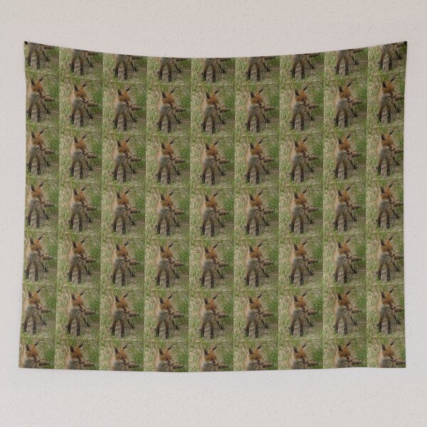 Item preview, Curious Fox Cub Encounter - Magpie Springs designed and sold by MagpieSprings.