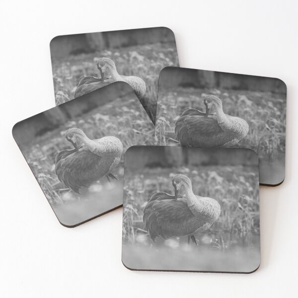 Item preview, Sandhill cranes forage peacefully along the edge of a beautiful pond in Tampa Bay, Florida designed and sold by EyezWatchin.