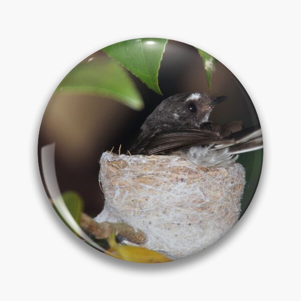 Item preview, Grey Fantail on Nest - Magpie Springs designed and sold by MagpieSprings.
