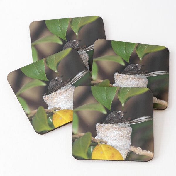 Item preview, Grey Fantail on Nest - Magpie Springs designed and sold by MagpieSprings.