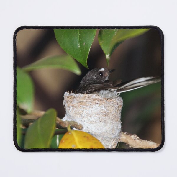 Item preview, Grey Fantail on Nest - Magpie Springs designed and sold by MagpieSprings.