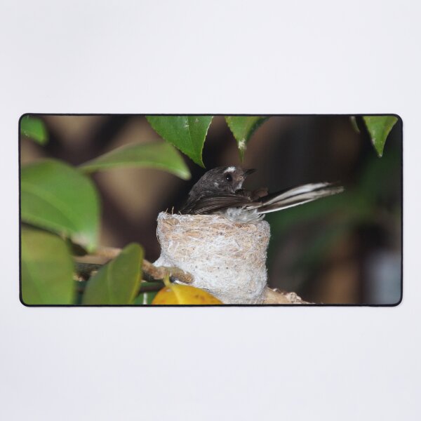 Item preview, Grey Fantail on Nest - Magpie Springs designed and sold by MagpieSprings.