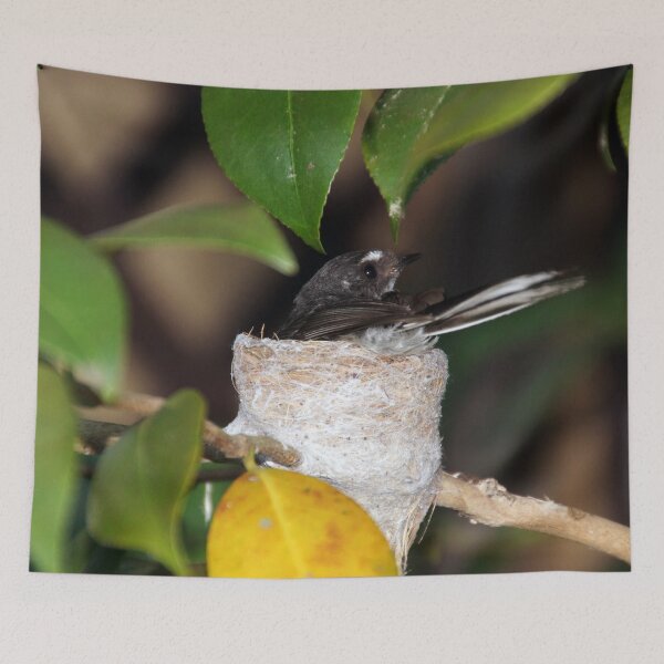 Item preview, Grey Fantail on Nest - Magpie Springs designed and sold by MagpieSprings.