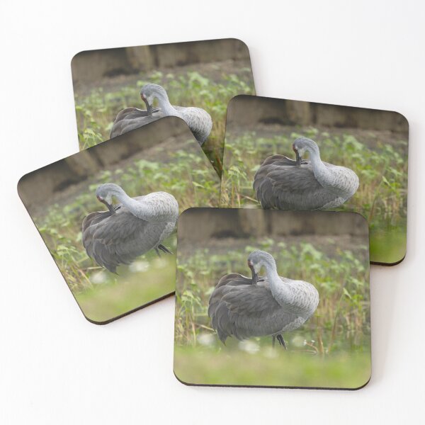 Item preview, Sandhill cranes forage peacefully along the edge of a beautiful pond in Tampa Bay, Florida designed and sold by EyezWatchin.
