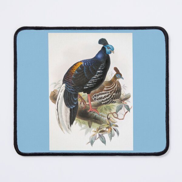 Item preview, Joseph Smit: Pair of Pheasants  designed and sold by Tridentulus.