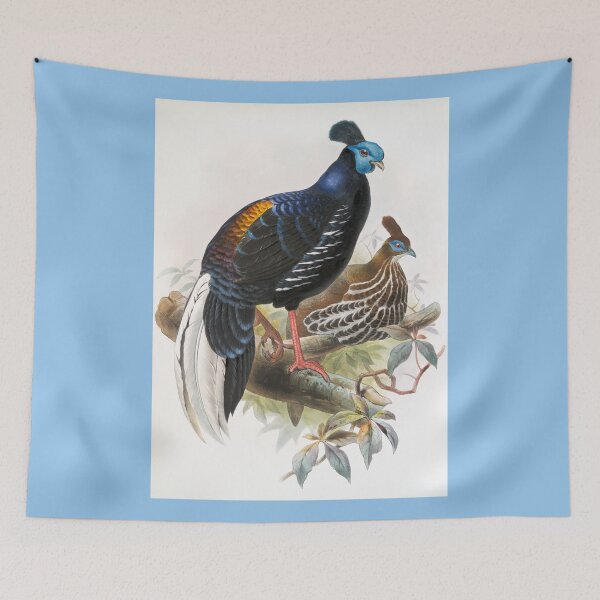 Item preview, Joseph Smit: Pair of Pheasants  designed and sold by Tridentulus.
