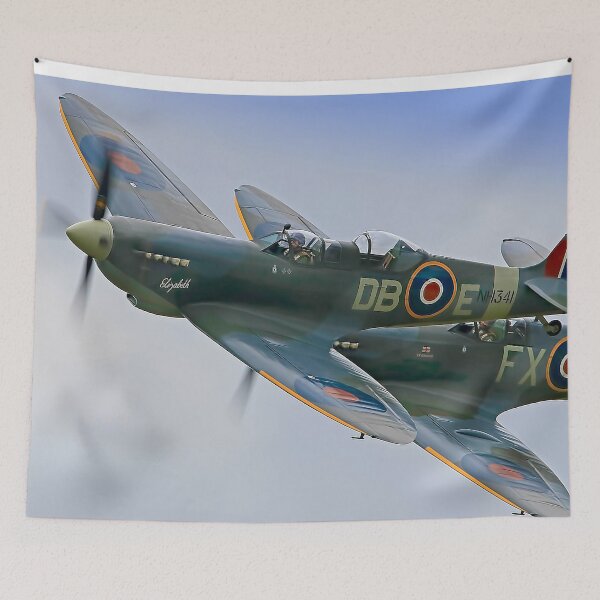 Item preview, Twin Spitfire Flypast designed and sold by Colin  Williams Photography.