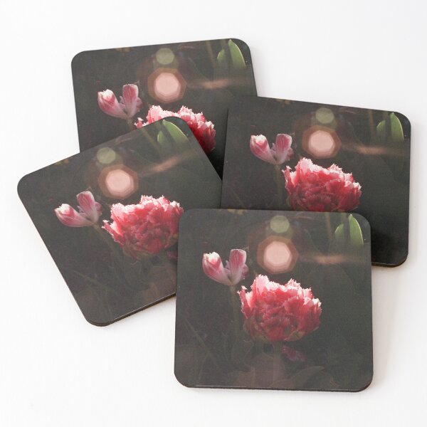 Item preview, Queensland’ Double Fringed + ‘Ad Rem’ Triumph Tulips, Tamarisk designed and sold by Melissa Holland.