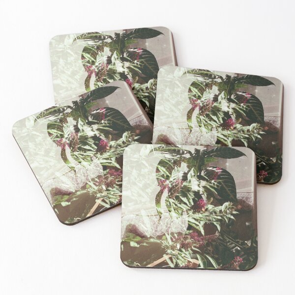 Item preview, Double Exposure: Indoor + Outdoors Plants feat. 'Black Night’ Butterfly Bush, Peacock + Zebra Plants designed and sold by Melissa Holland.