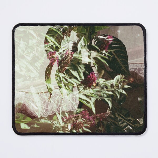 Item preview, Double Exposure: Indoor + Outdoors Plants feat. 'Black Night’ Butterfly Bush, Peacock + Zebra Plants designed and sold by Melissa Holland.