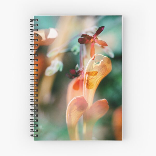 Item preview, Double Exposure: Agastache and Epimedium designed and sold by Melissa Holland.