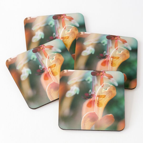 Item preview, Double Exposure: Agastache and Epimedium designed and sold by Melissa Holland.