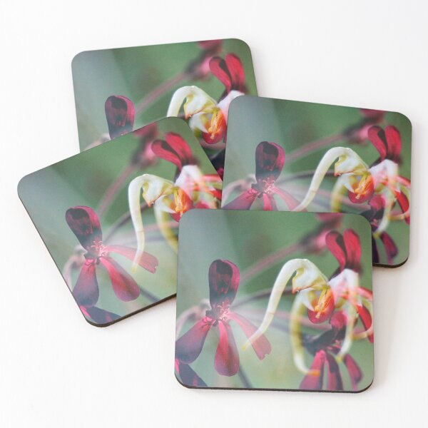 Item preview, Double Exposure: Dark Red Pergaloniums and Epimedium designed and sold by Melissa Holland.