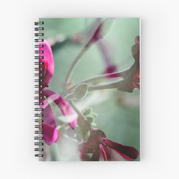 Item preview, Double Exposure: Dark Pink and Red Pergaloniums designed and sold by Melissa Holland.