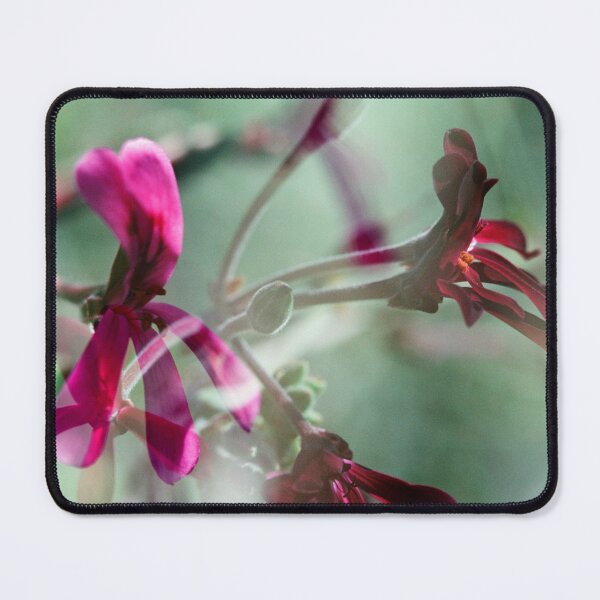 Item preview, Double Exposure: Dark Pink and Red Pergaloniums designed and sold by Melissa Holland.