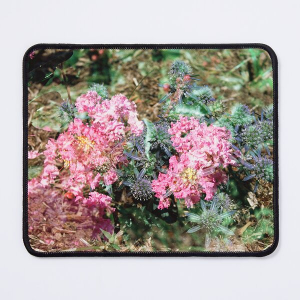 Item preview, Double Exposure: Zuni Pink Crepe Myrtle and Sea Holly designed and sold by Melissa Holland.