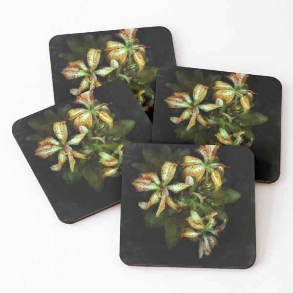 Item preview, Double Exposure: Must See, Double Asiatic Lilium designed and sold by Melissa Holland.
