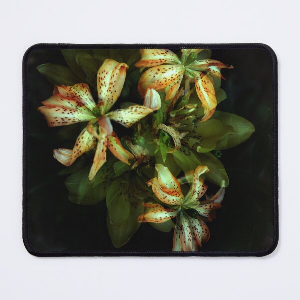 Item preview, Double Exposure: Must See, Double Asiatic Lilium designed and sold by Melissa Holland.
