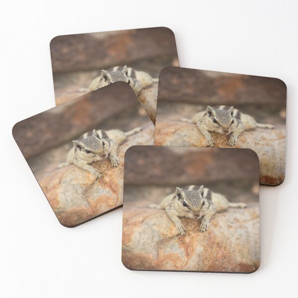 Item preview, Close-up of five-striped palm squirrel resting designed and sold by AnnaKT.