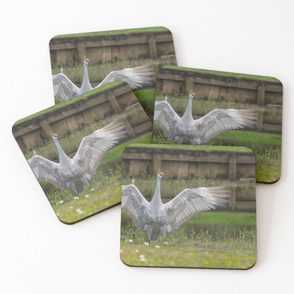 Item preview, A sandhill crane stands in a beautiful pond in Pasco County, Tampa Bay, Florida designed and sold by EyezWatchin.