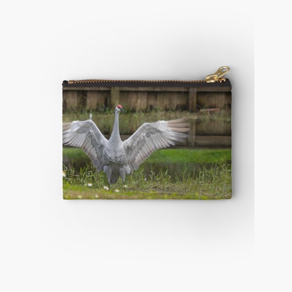 Item preview, A sandhill crane stands in a beautiful pond in Pasco County, Tampa Bay, Florida designed and sold by EyezWatchin.