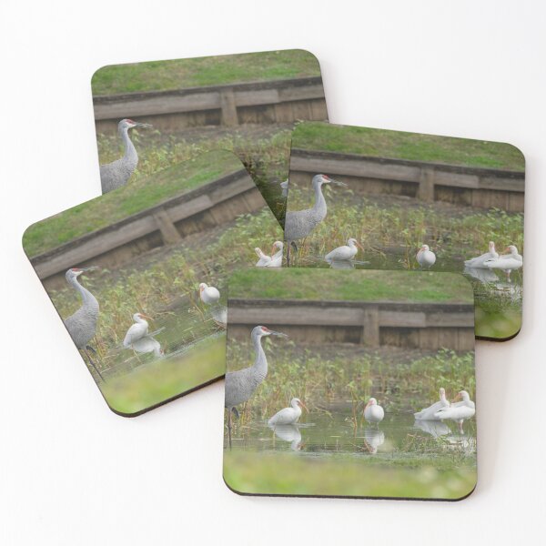 Item preview, A sandhill crane stands in a beautiful pond in Pasco County, Tampa Bay, Florida, surrounded by graceful white egrets wading nearby designed and sold by EyezWatchin.