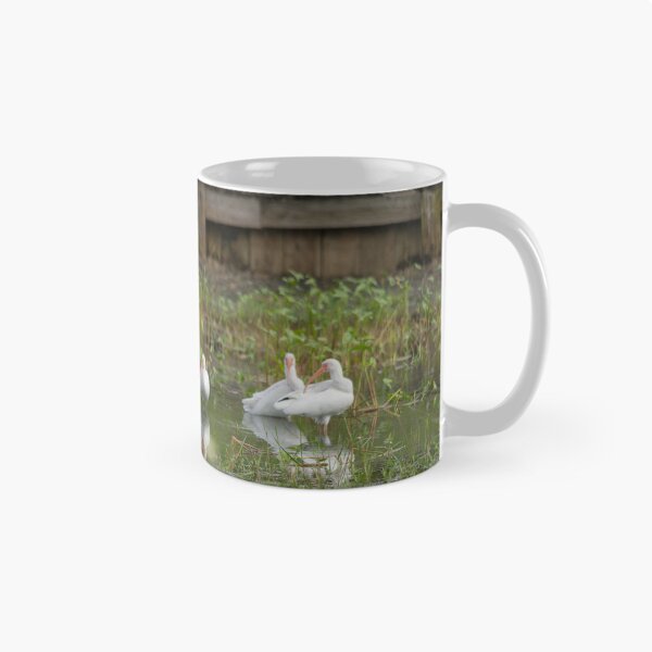 Item preview, A sandhill crane stands in a beautiful pond in Pasco County, Tampa Bay, Florida, surrounded by graceful white egrets wading nearby designed and sold by EyezWatchin.