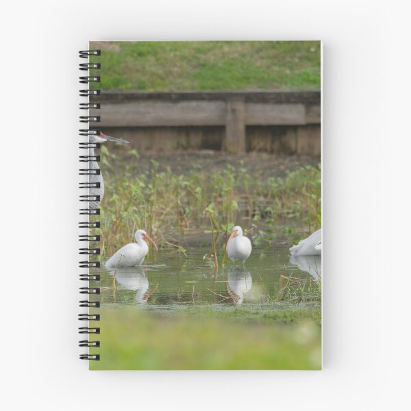 Item preview, A sandhill crane stands in a beautiful pond in Pasco County, Tampa Bay, Florida, designed and sold by EyezWatchin.