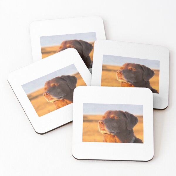 Item preview, The Cooked Dog meme designed and sold by Culture Pulse.