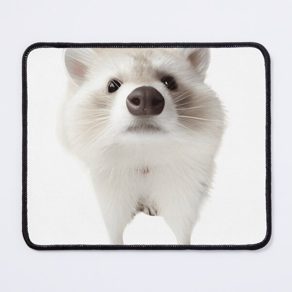 Item preview, Concerned albino raccoon designed and sold by otaku.edwardj.