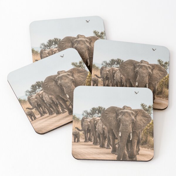 Item preview, Family of elephants designed and sold by OrionPhotograph.