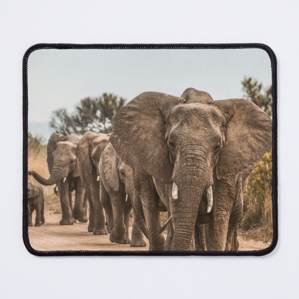 Item preview, Family of elephants designed and sold by OrionPhotograph.