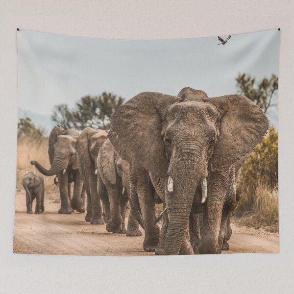 Item preview, Family of elephants designed and sold by OrionPhotograph.