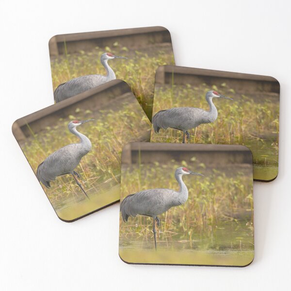 Item preview, A sandhill crane stands in a beautiful pond in Pasco County, Tampa Bay, Florida designed and sold by EyezWatchin.