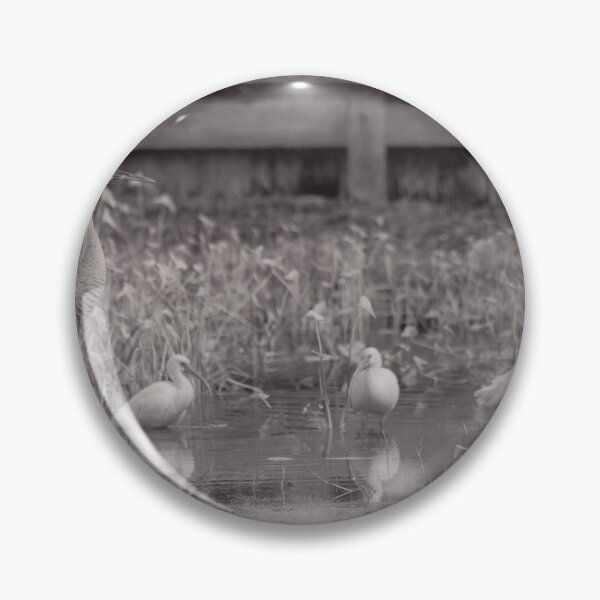 Item preview, A sandhill crane stands in a beautiful pond in Pasco County, Tampa Bay, Florida designed and sold by EyezWatchin.