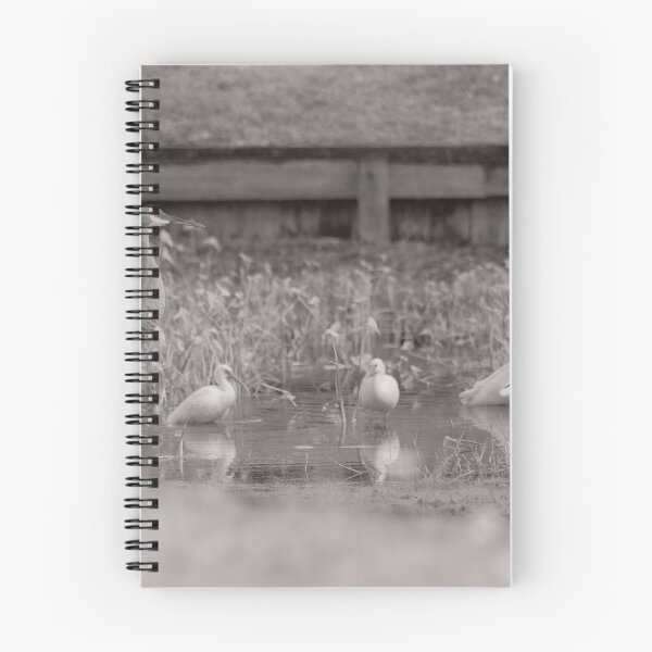 Item preview, A sandhill crane stands in a beautiful pond in Pasco County, Tampa Bay, Florida designed and sold by EyezWatchin.