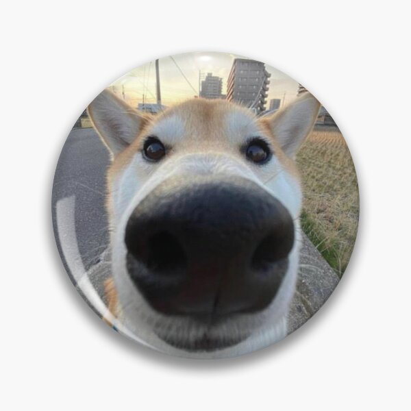 Item preview, Dog wide angle cam meme sticker designed and sold by SodaMemes.