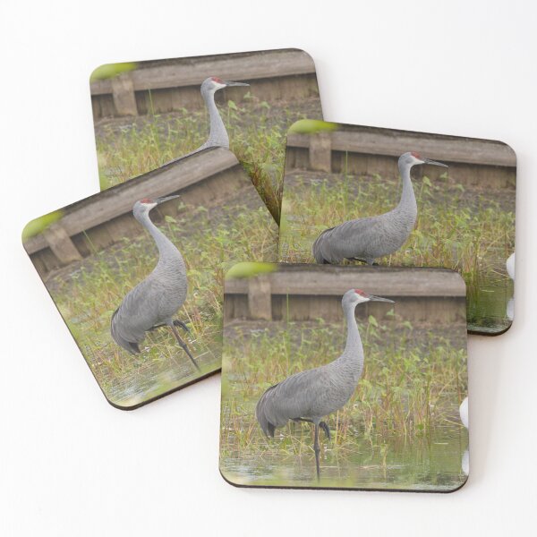 Item preview, A sandhill crane stands in a beautiful pond in Pasco County, Tampa Bay, Florida designed and sold by EyezWatchin.