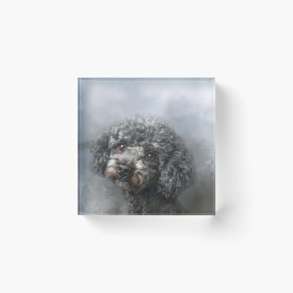 Item preview, Cute Gray Miniature Poodle designed and sold by Elisabeth Lucas.