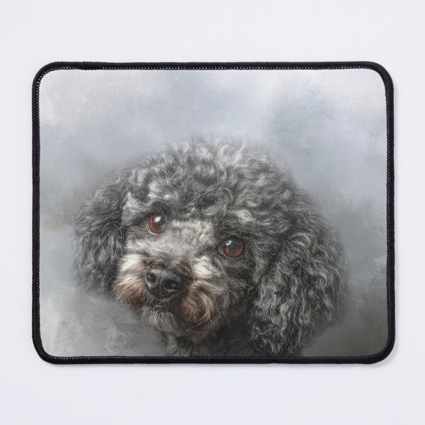 Item preview, Cute Gray Miniature Poodle designed and sold by Elisabeth Lucas.